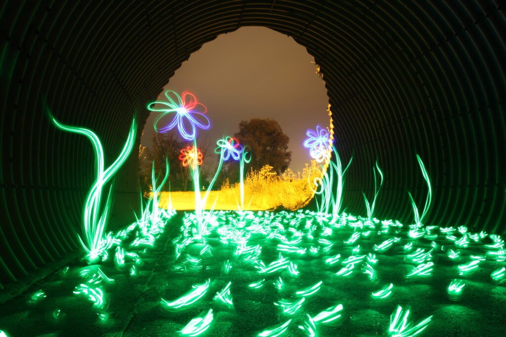 Lichtmalen, Leuchtende Blumen- im Tunnel, IrisDraw