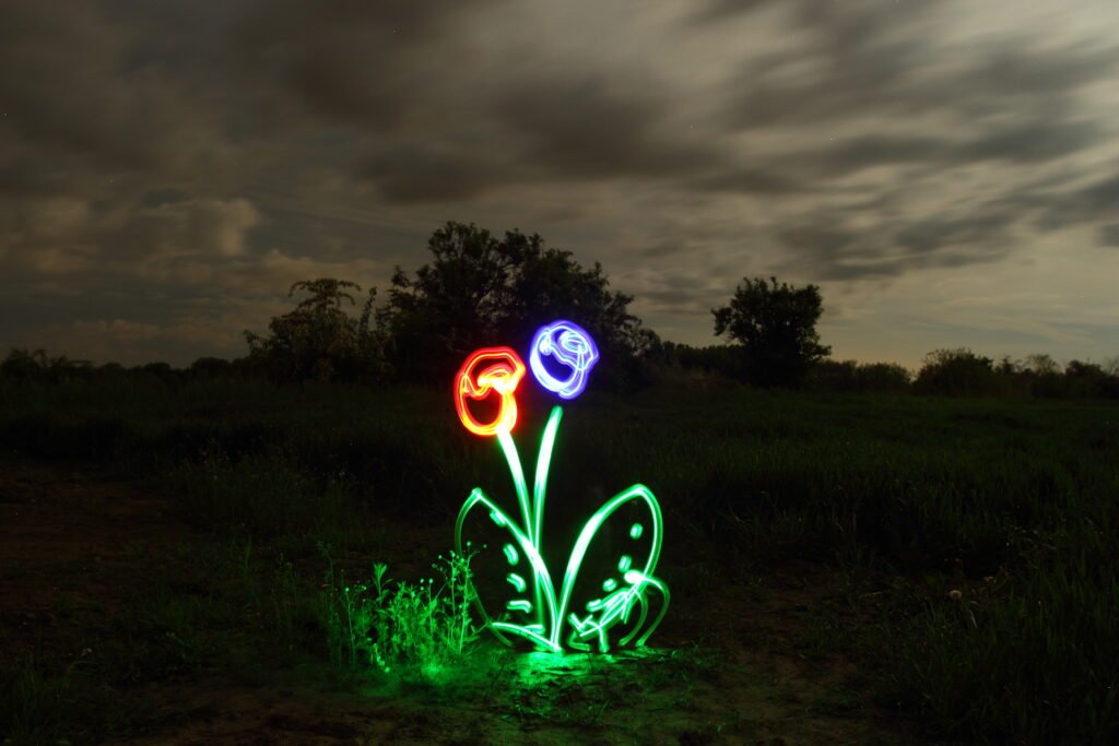 Lichtmalerei, IrisDraw.art,Neonblume in der Dunkelheit,
Langzeitbelichtung